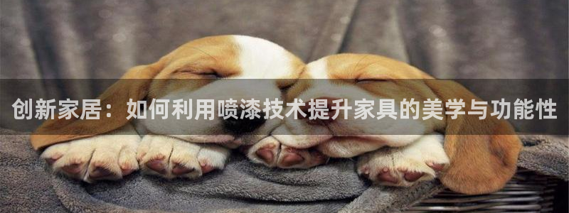 龙八国际服官网下载安卓