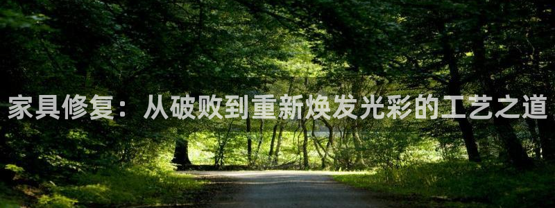 龙八国际服官网入口