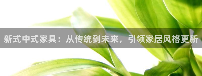 龙八国际app下载官网