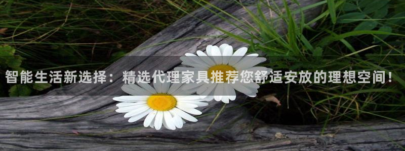 龙八国际备用地址