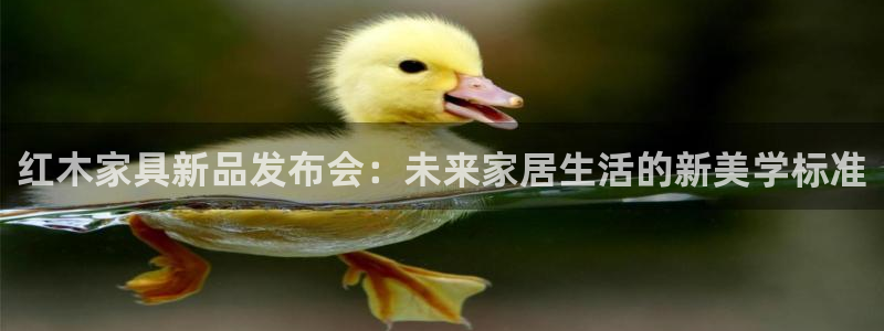 龙八国际备用地址