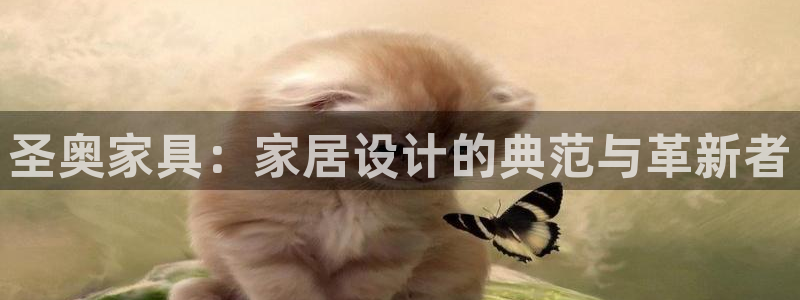龙八国际app电话