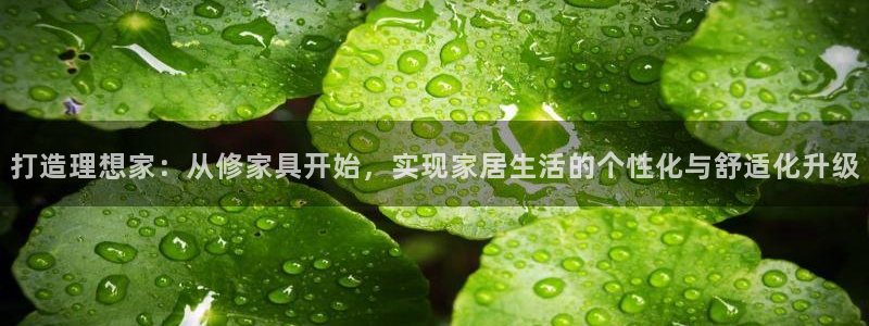 龙八国际客户端pt