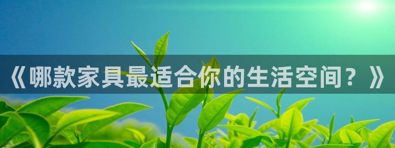 龙八国际免费下载