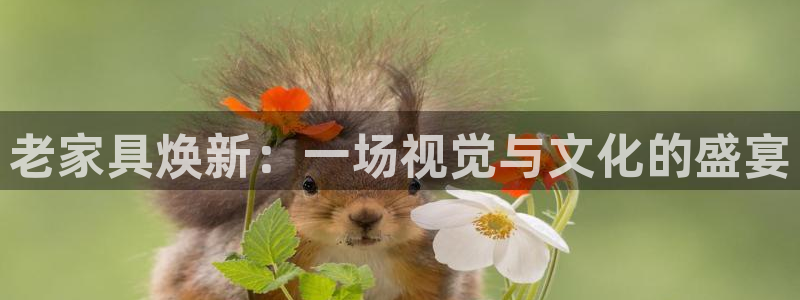 龙八国际官方网站