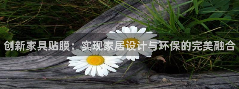 龙八国际app客户端经济区
