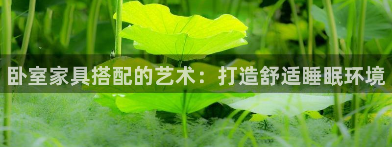龙八国际老虎