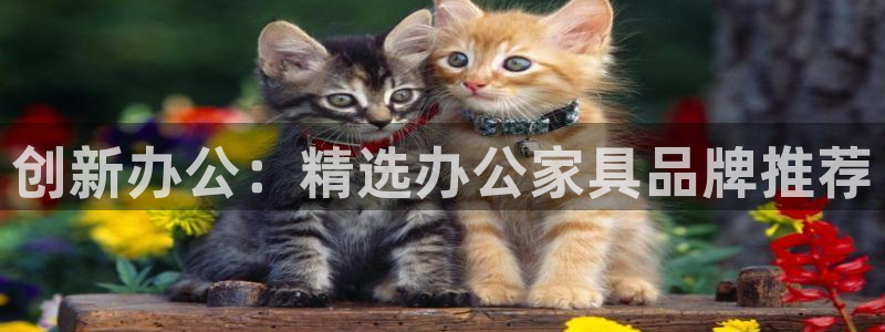 龙八国际客户端官网下载