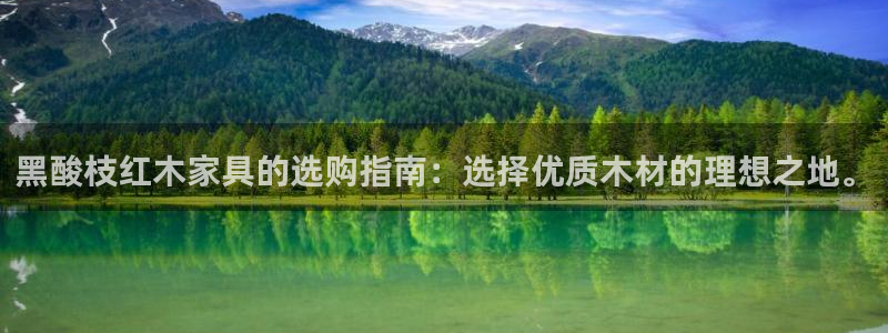 龙八国际头号玩家是谁