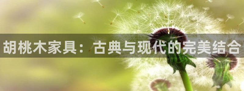 龙八国际可靠