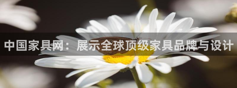 龙八国际是干什么的