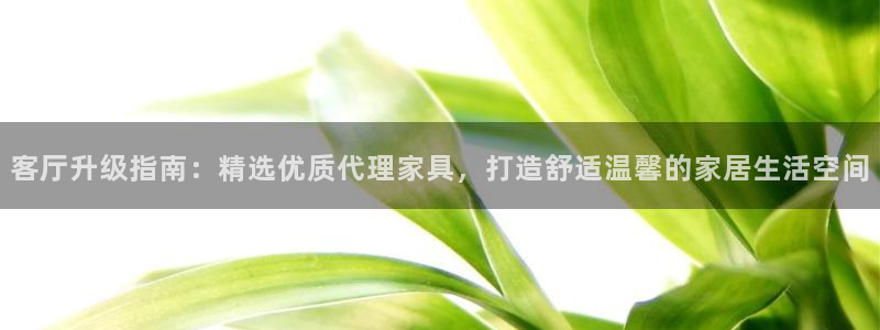 龙八国际娱乐网