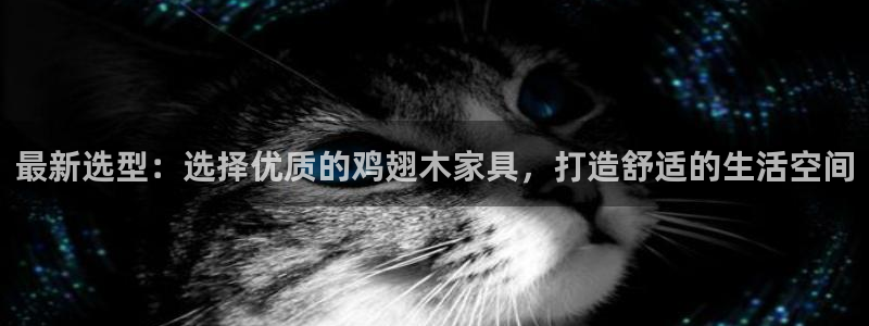 龙八国际娱乐官网