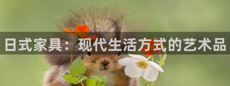 龙八国际平台手机版