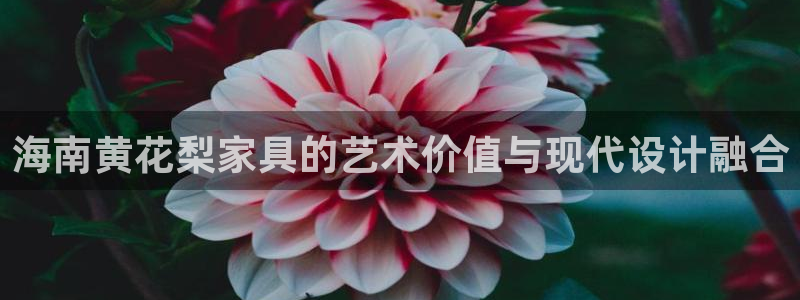 龙八国际客服端登录