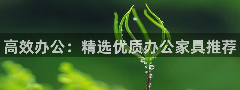 龙八国际官方登录网址