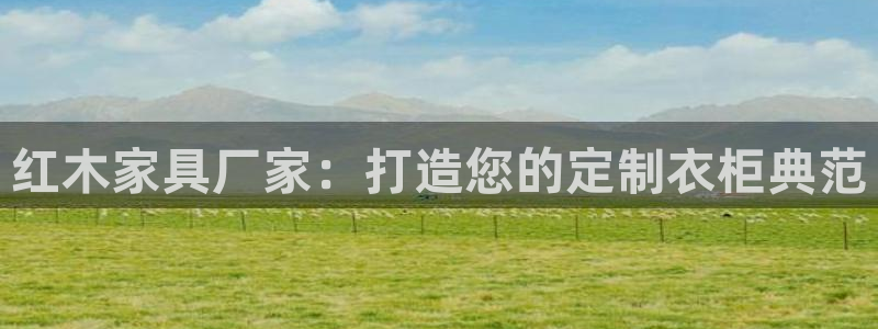 龙八国际跑路了吗