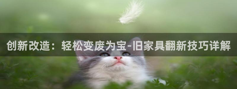 下载龙八国际app