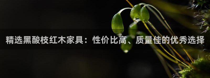 龙八国际官方网站