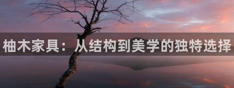 龙八国际官网进入