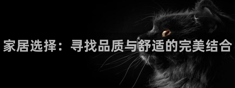 龙八国际app官网