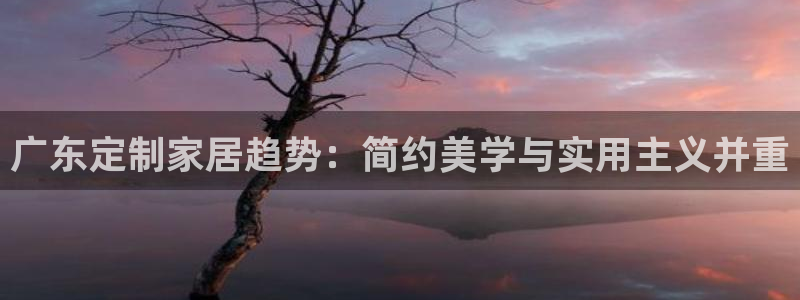 龙八国际选q18点tv