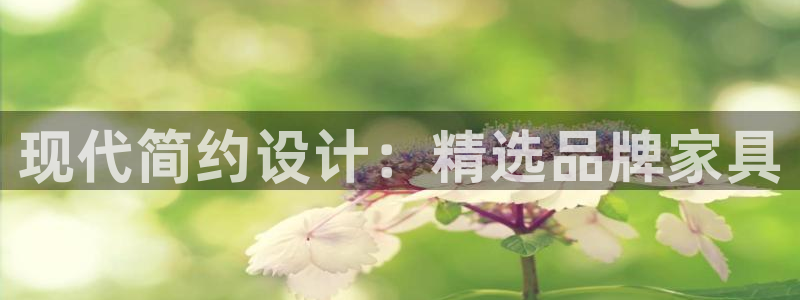 龙八国际是什么