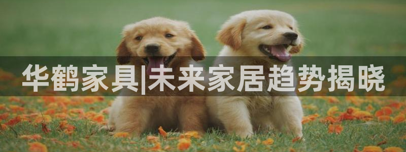 龙八国际pt客户端