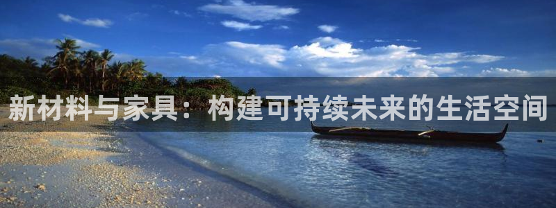 龙八国际刘佳烨