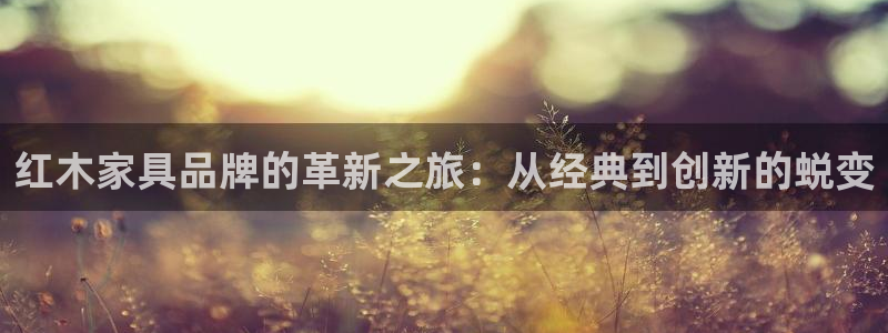 龙八国际app手机端