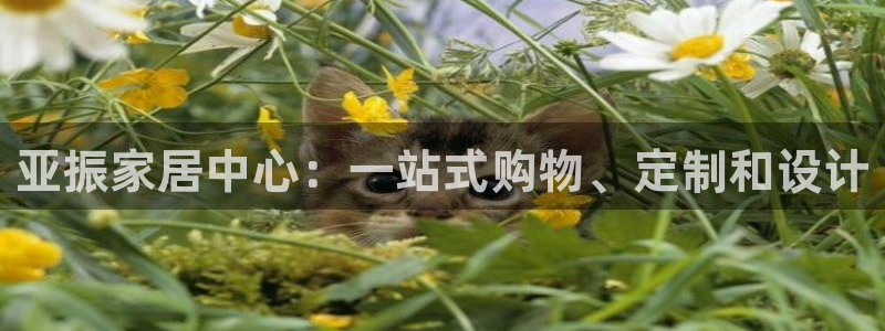 龙八国际害死多少人