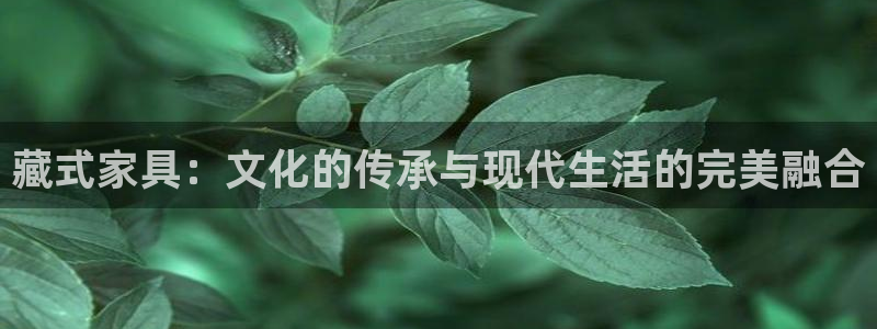 龙八国际服官网