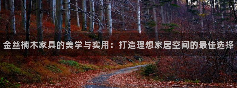 龙八国际头号玩家是谁啊