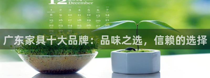 不会玩龙八国际