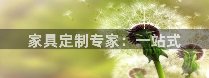 龙八国际优惠券