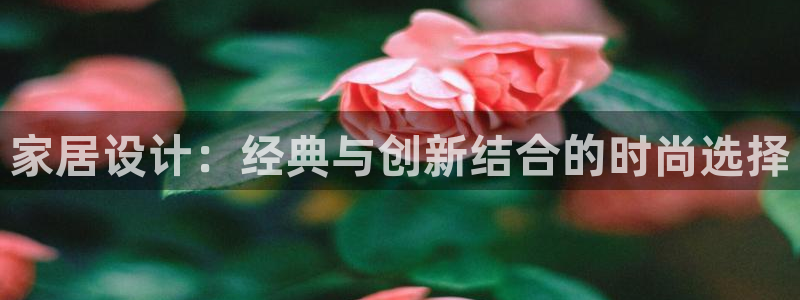 龙八国际娱乐会所