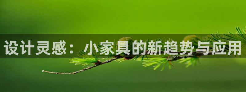 龙八国际官方手游