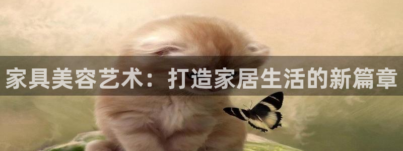 龙八国际登官网