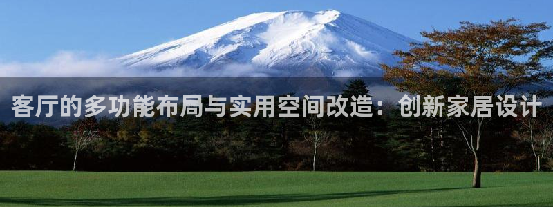 龙八国际集团有限公司