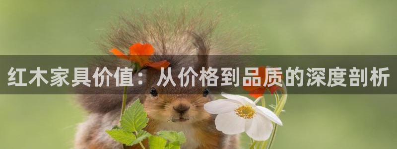 龙八国际登录入口