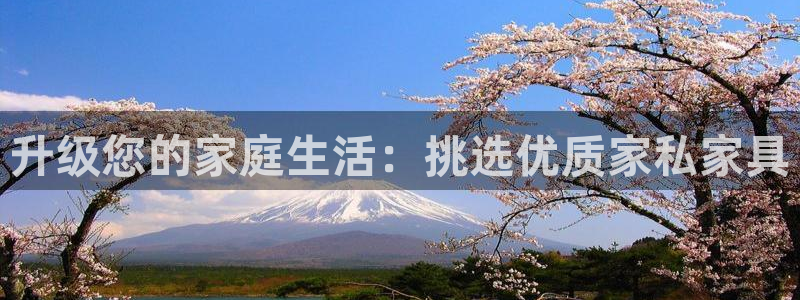 龙八国际娱乐地