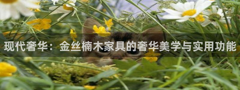 龙八国际下载链接一