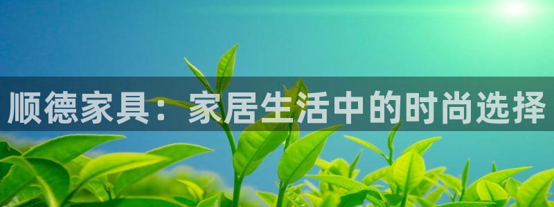 龙八国际手机版下载地址