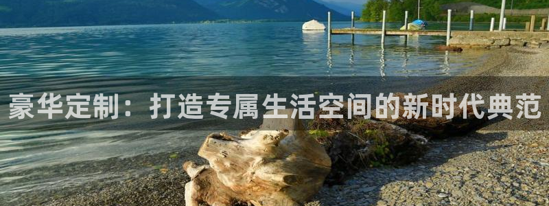 龙八国际是个什么游戏机