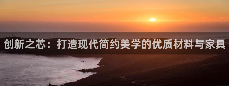 龙八国际有限责任公司