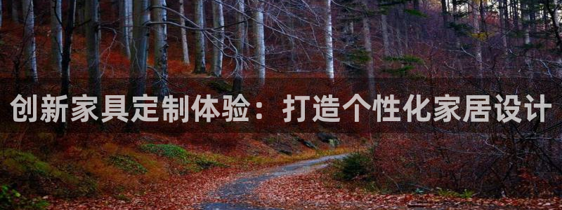 龙八国际代理app