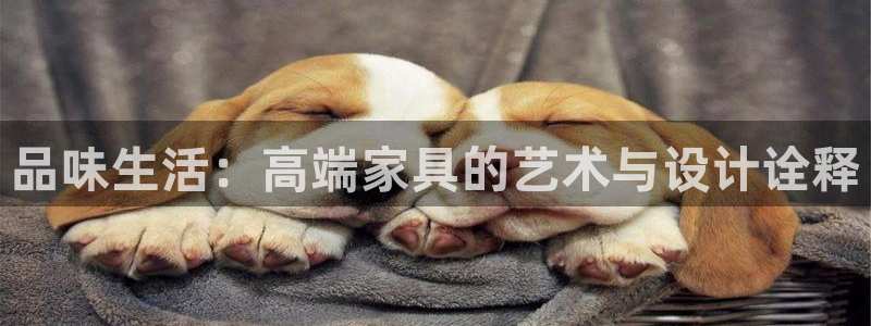 龙八国际客户端下载苹果