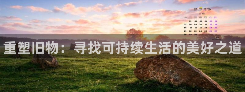 龙八国际害死多少人