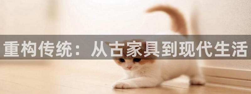 下载龙八国际手机版安装