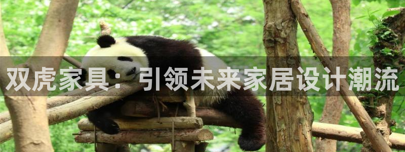 龙八国际pT娱乐官网